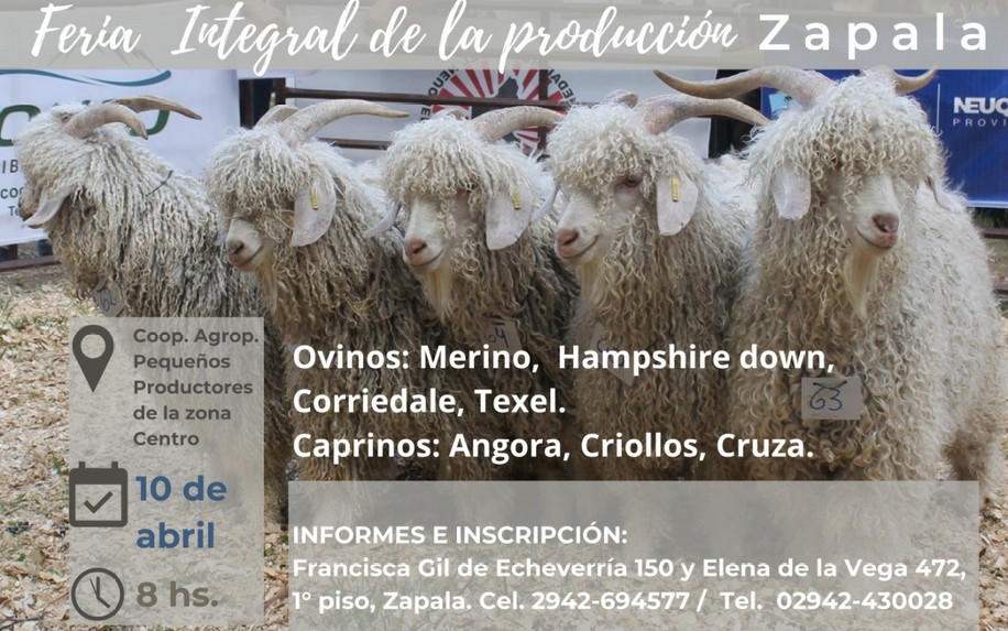 Llega-la-11°-Feria-Integral-de-la-Produccion