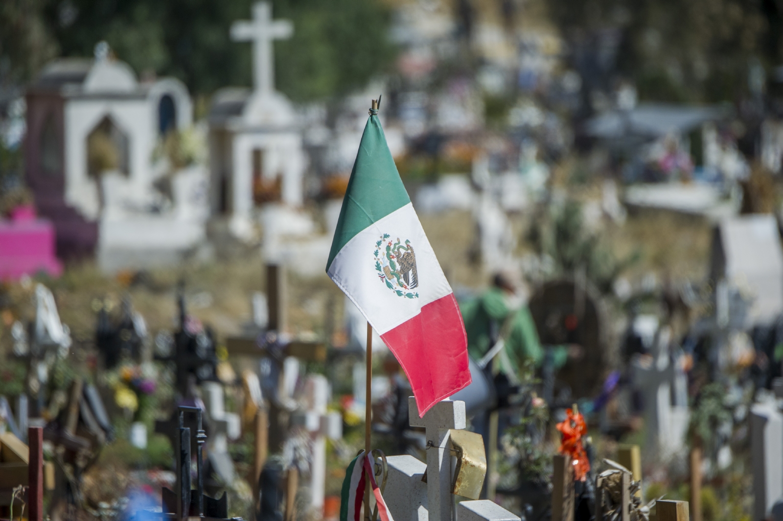 mex 3