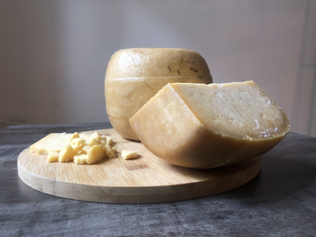 www.minutoneuquen.com queso sardo