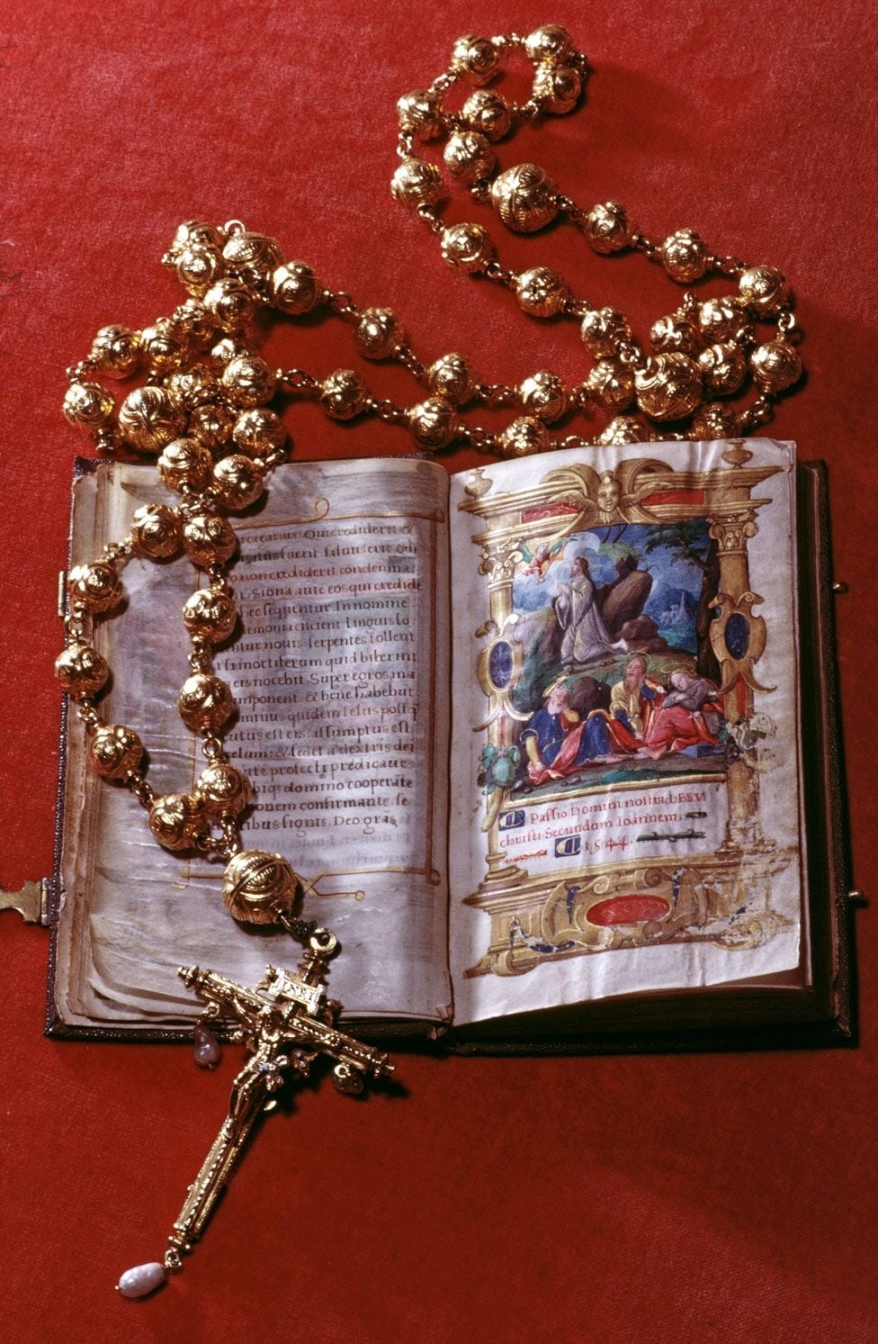 rosario 1
