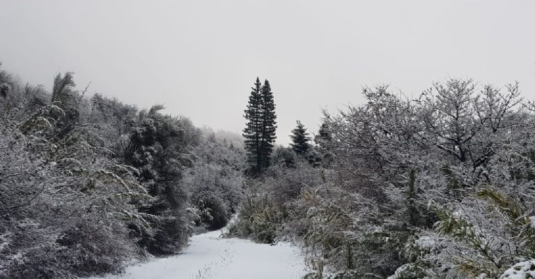 f768x400-97683_141586_5050