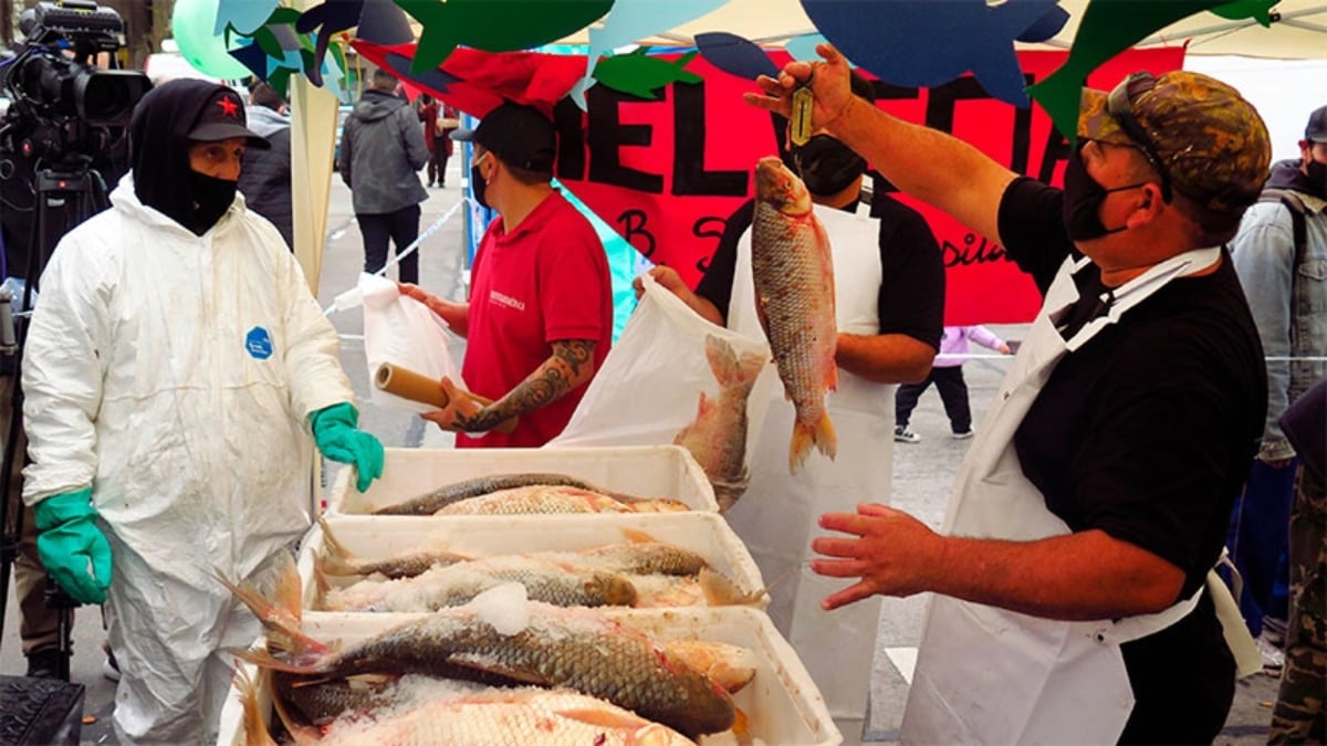 PESCADAZO PORTADA