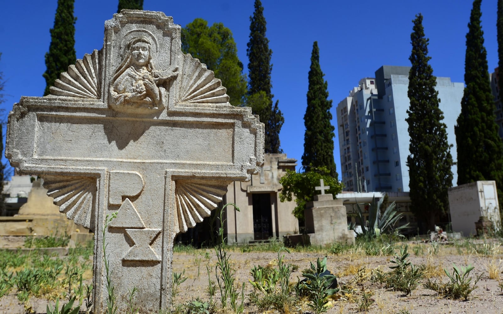 cementerio central neuquen
