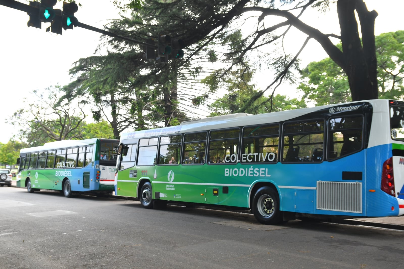 colectivos_biodiesel_2