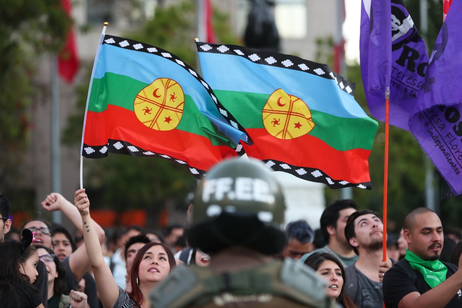 mapuche