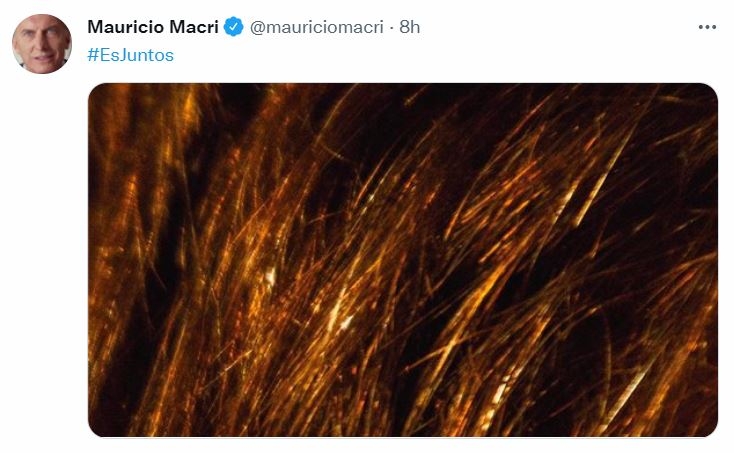 AMCRI ES JUNTOS
