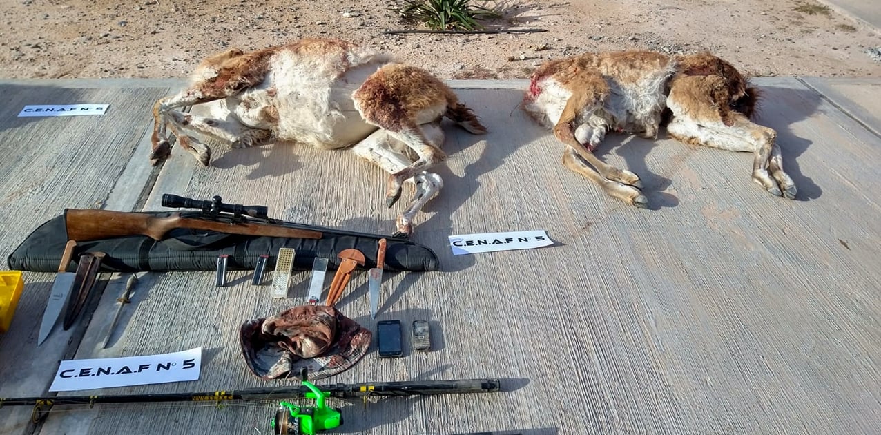 cazadores furtivos