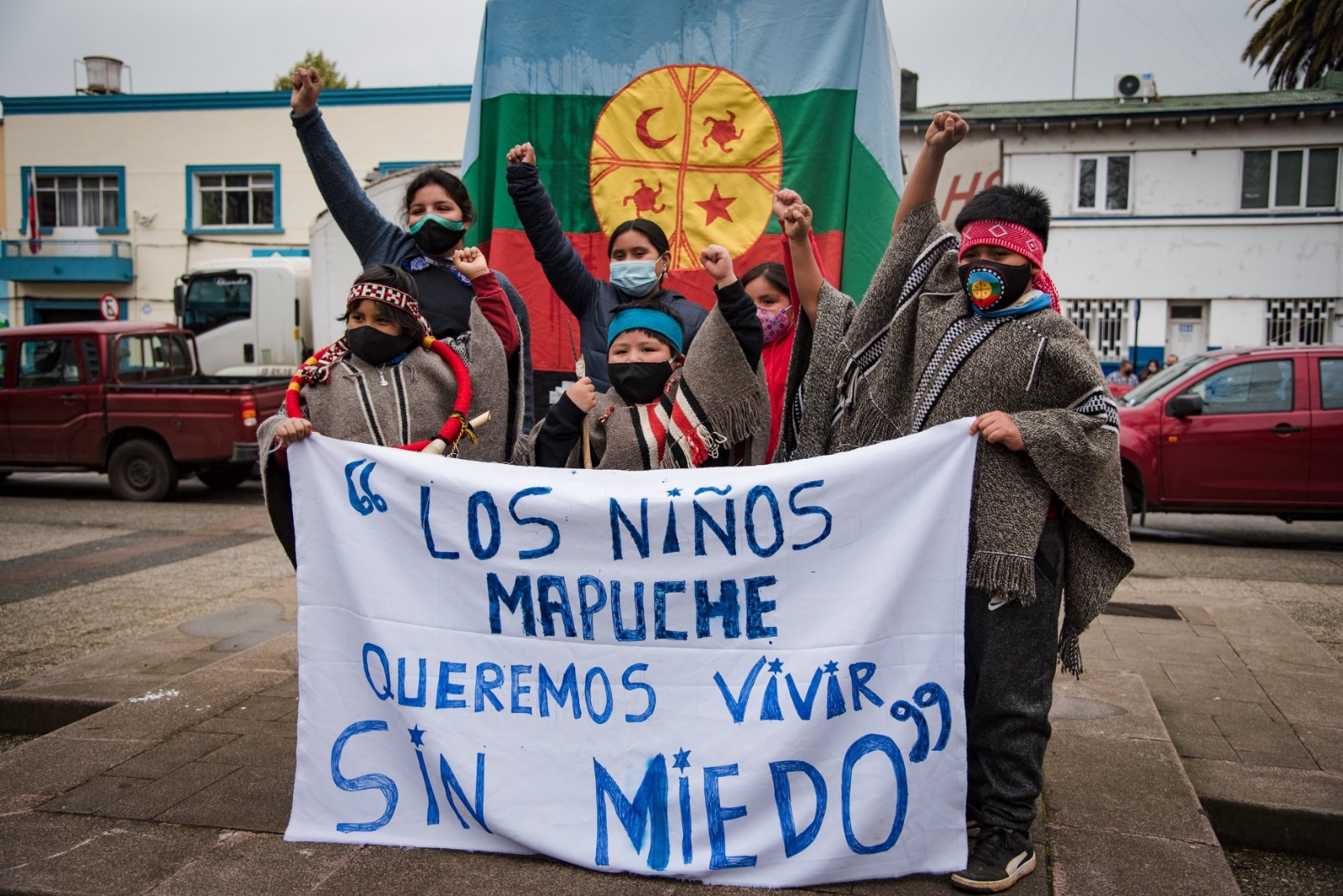 mapuche 5