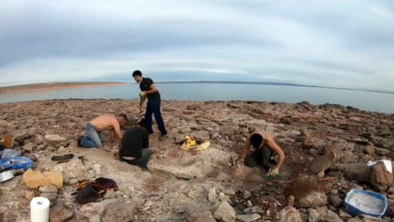proyecto-dino-los-barreales