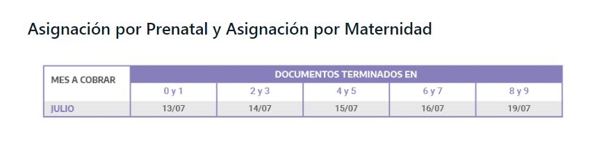 embarazo