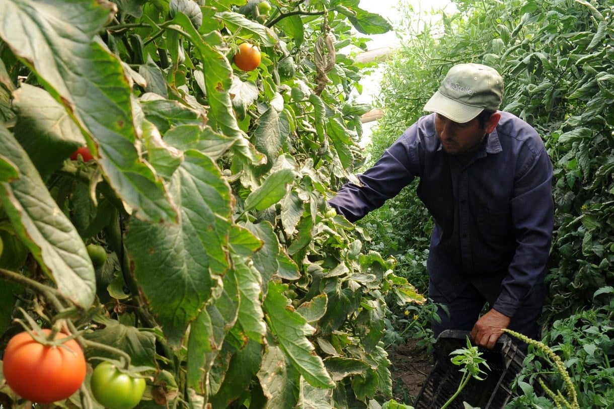 trabajo_agrario