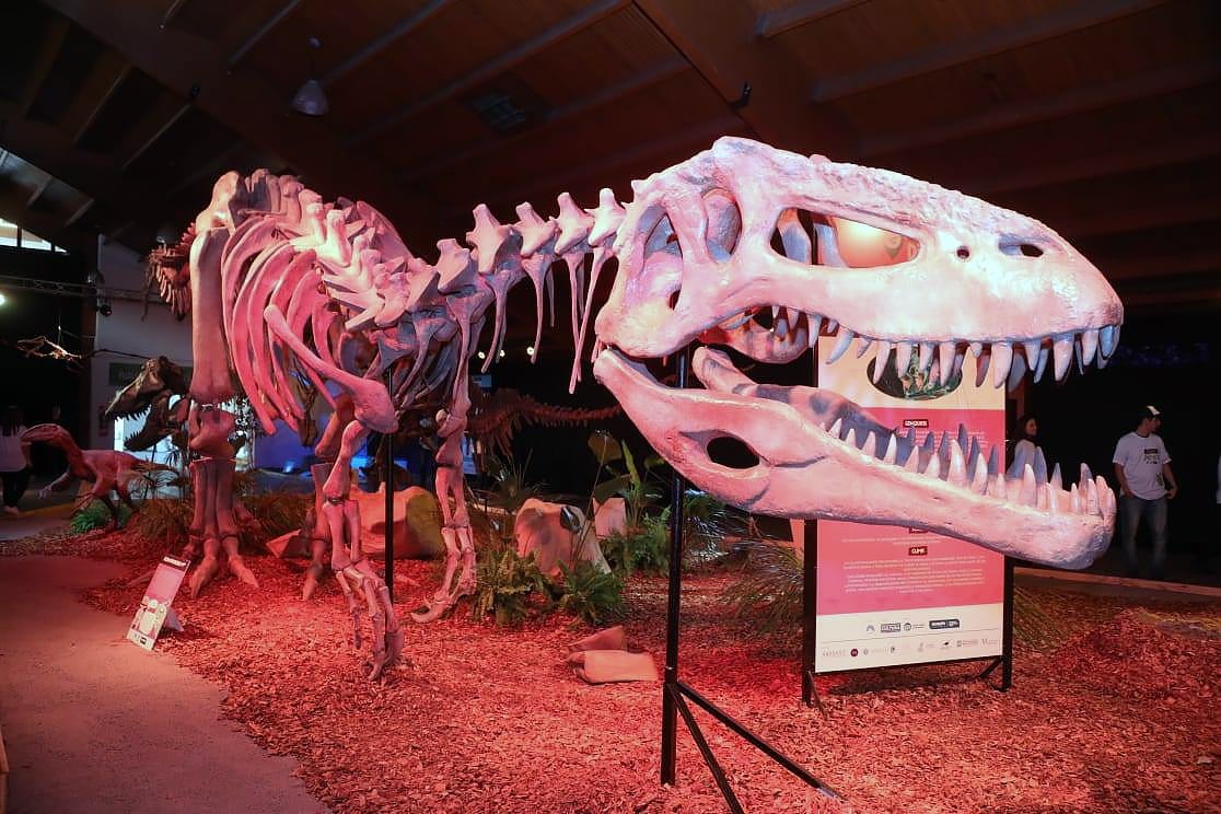 mision_dino_002