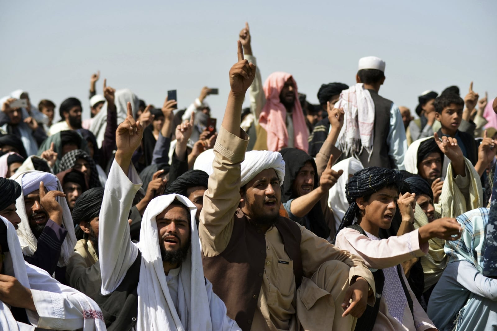 talibanes 0