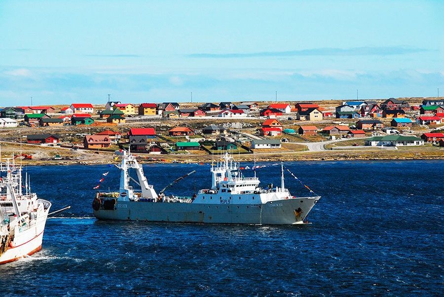 pesca malvinas