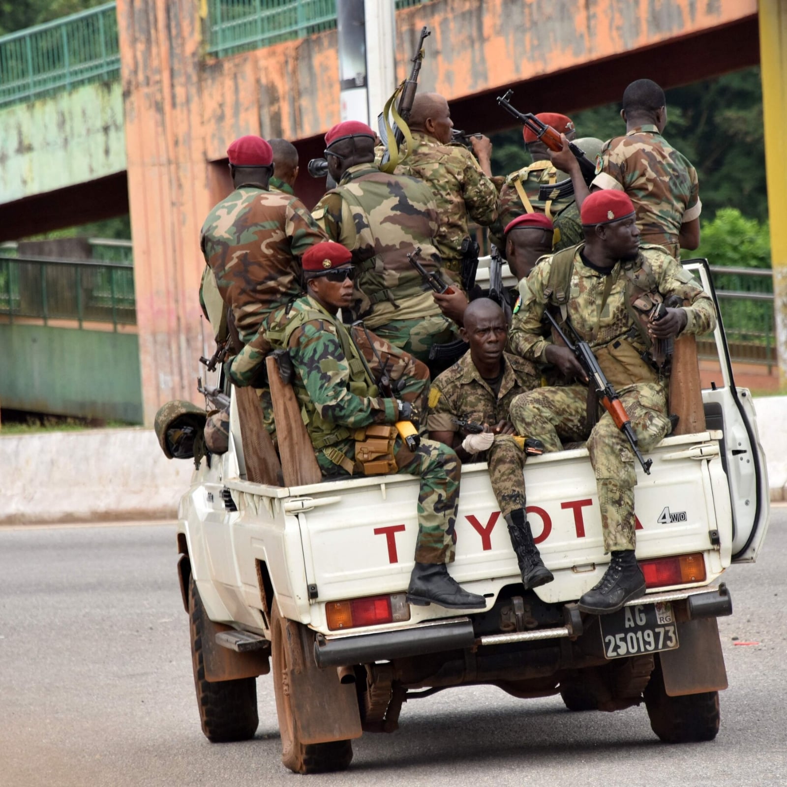 guinea 2