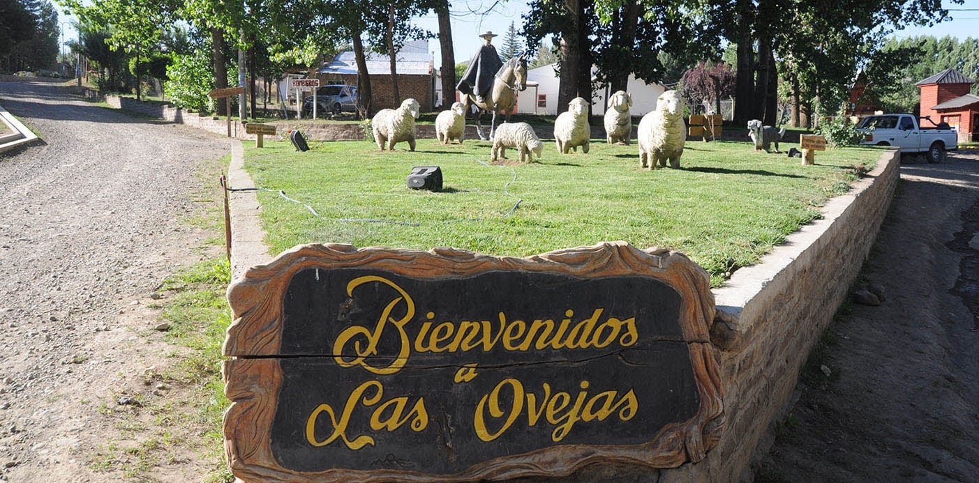 Portada nota Las ovejas