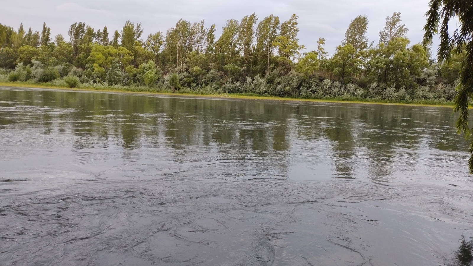 rio-neuquen-busqueda-desesperada