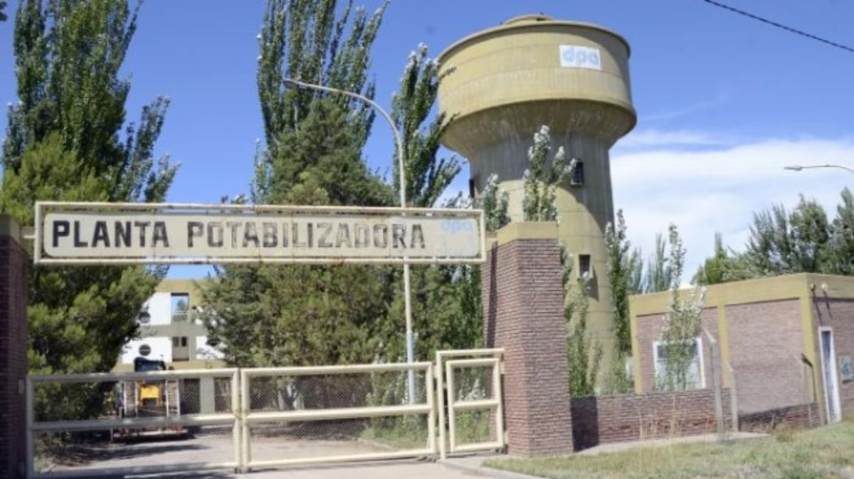 Cipoletti agua