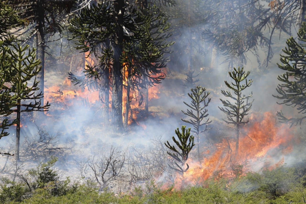 Incendio-alumine-27-12-5 (1)