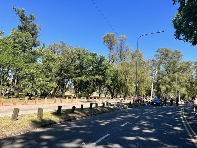bosques