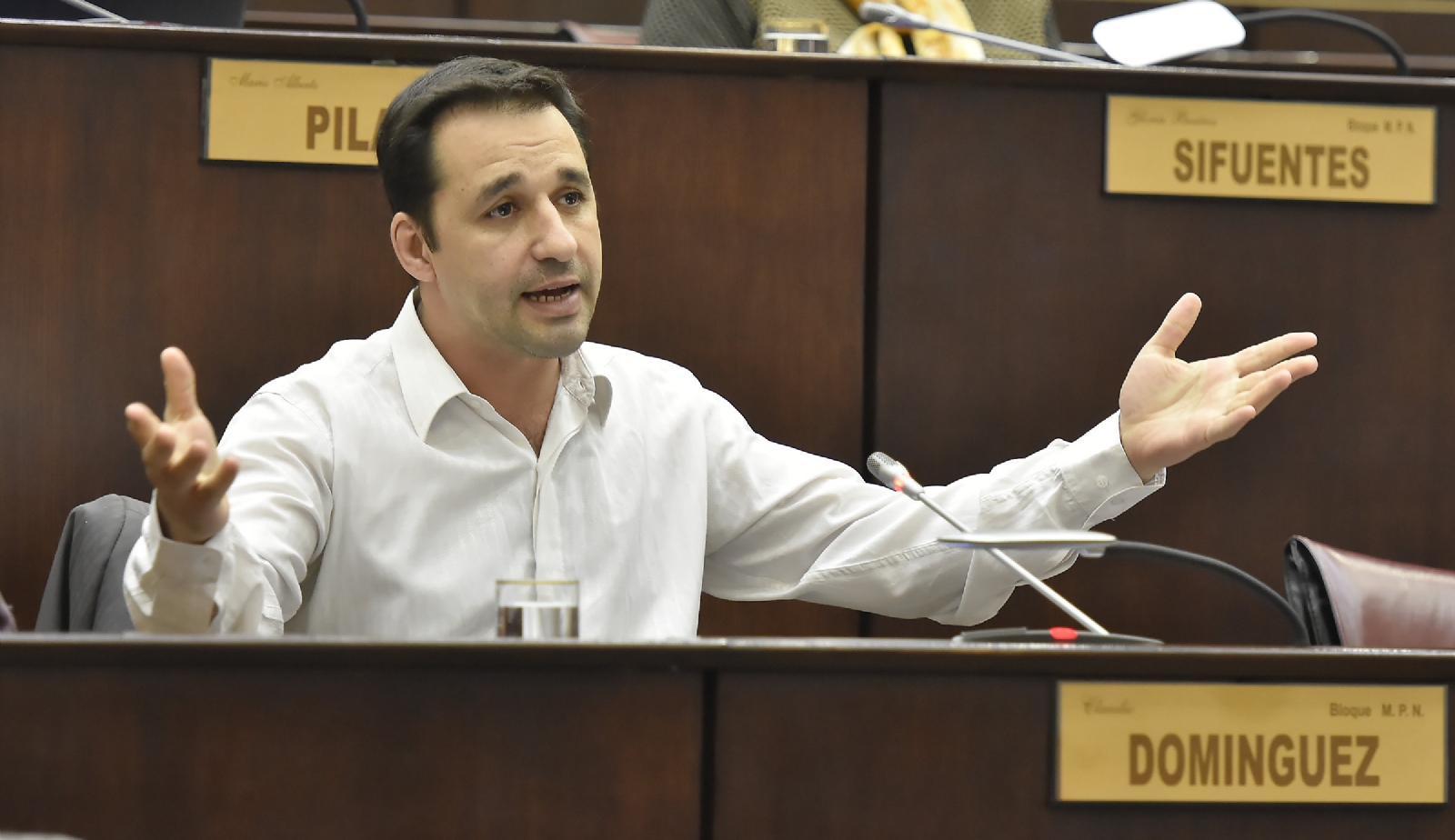 nqn-sesion-legislatura-dominguez
