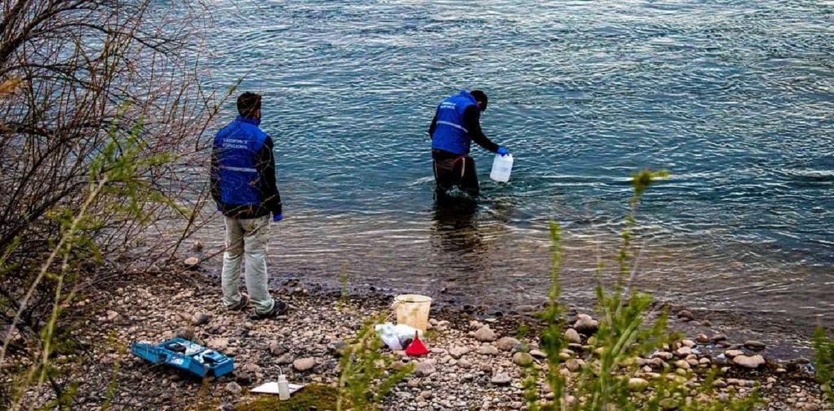MONITOREO CALIDAD DEL AGUA RÍO NEUQUÉNº 1