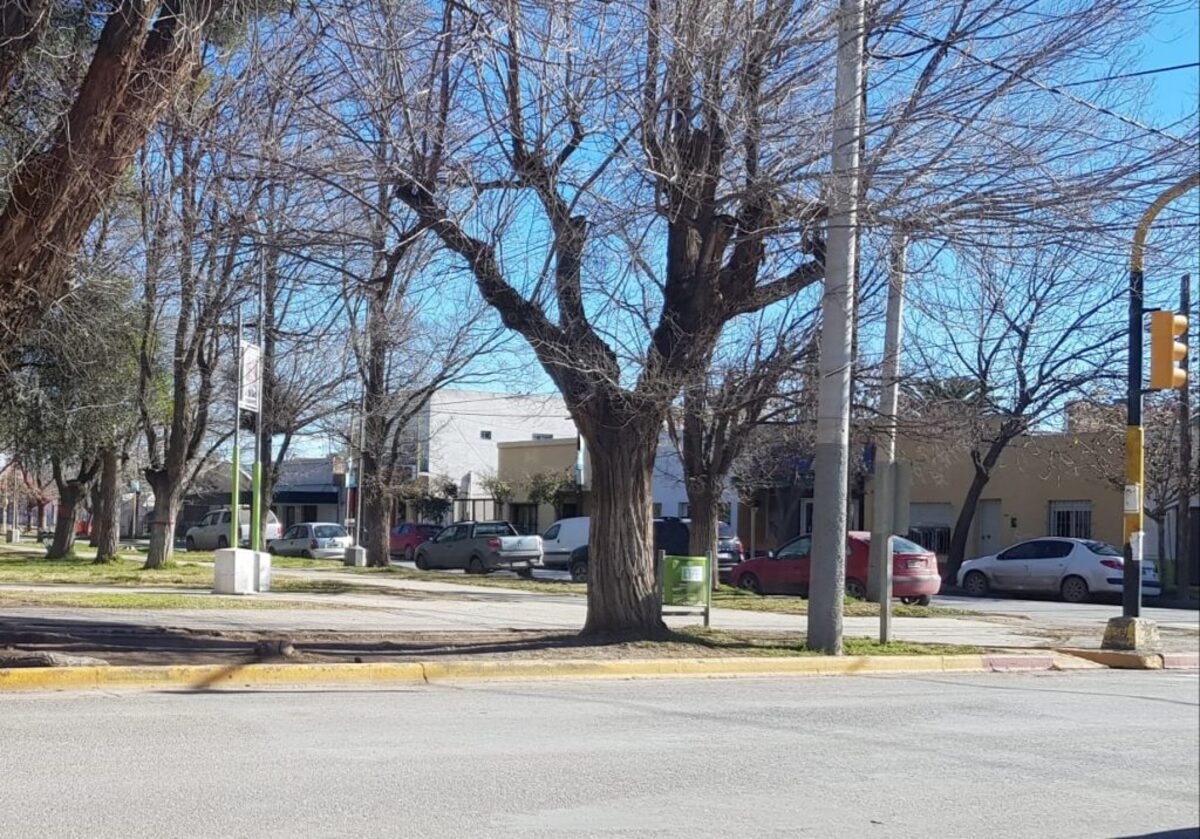 calle Primeros Pobladores Plaza San Martín de Centenario