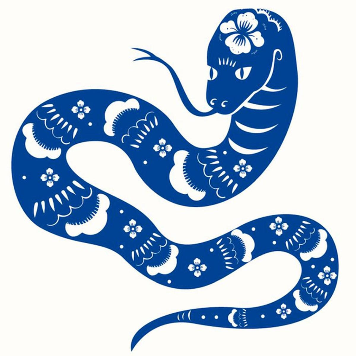 www.minutoneuquen.com.ar horos1