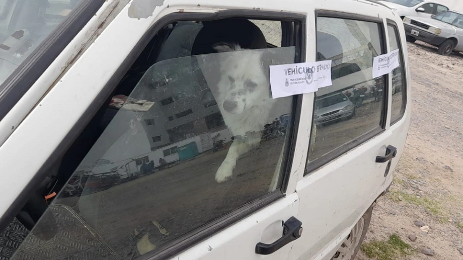 auto sobre las vías 3