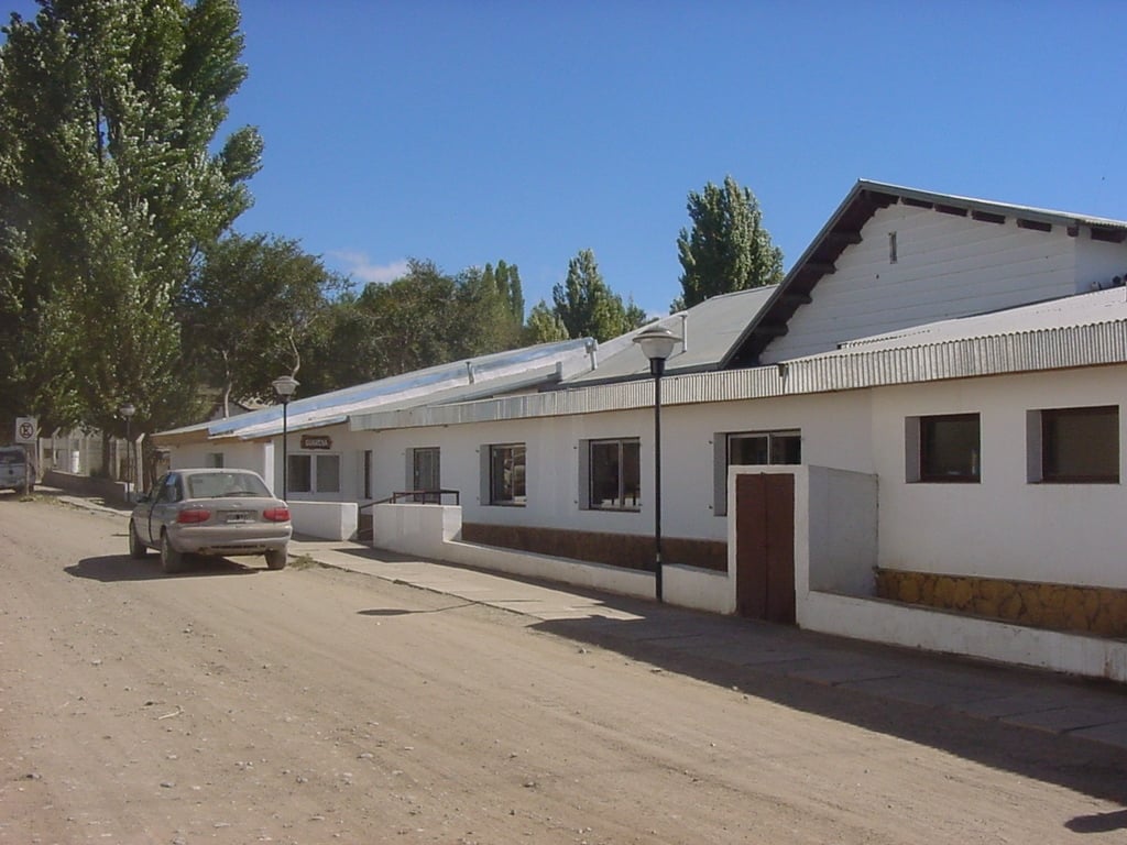 alumine - salud nqn