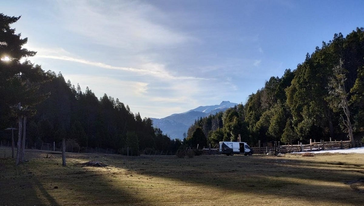 BOSQUE NATIVO TRAFUL