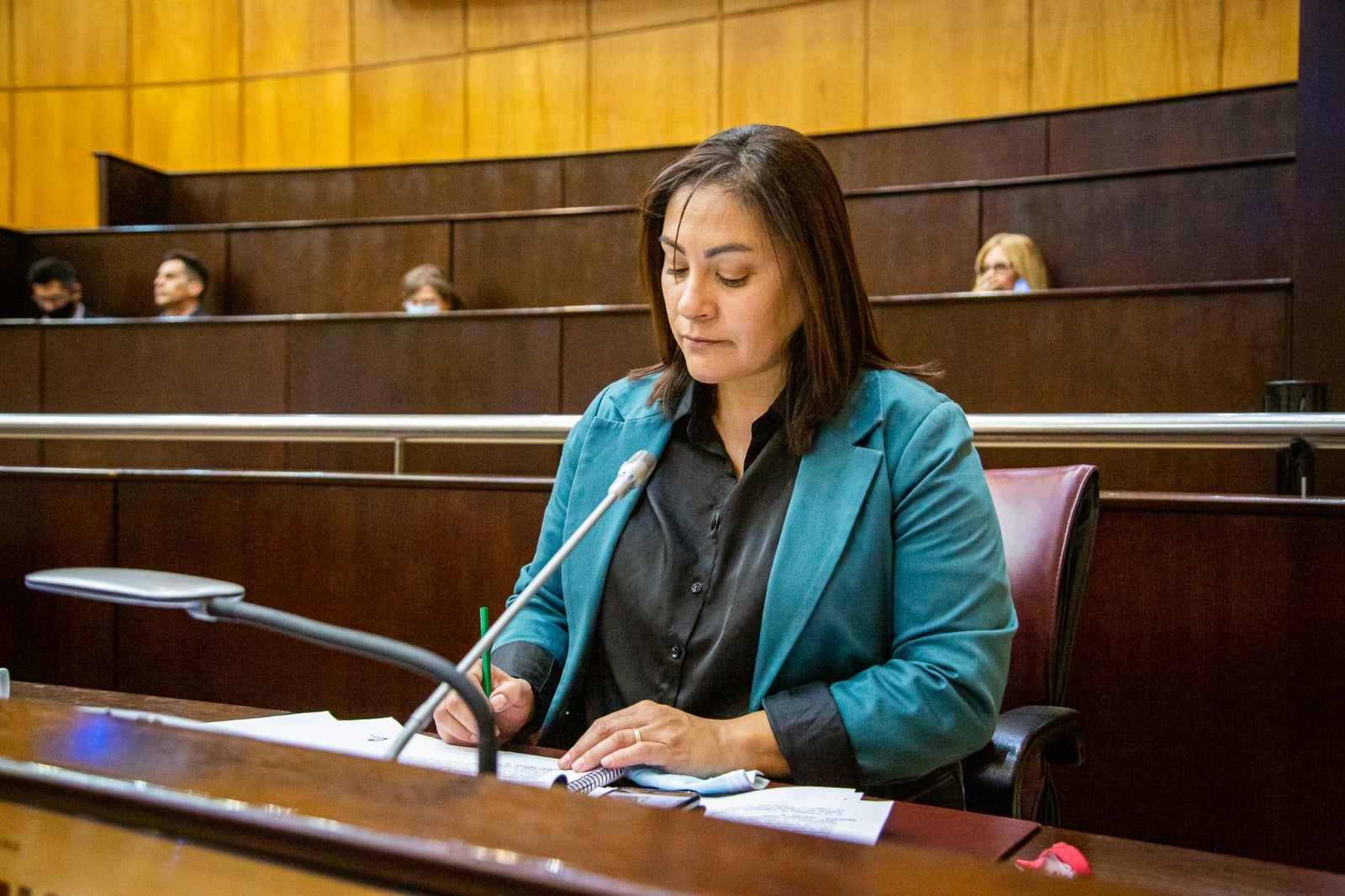 paraje curaco - Legislatura nqn