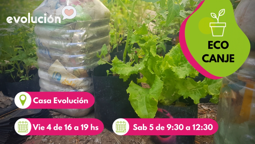 ecocanje - Evolución