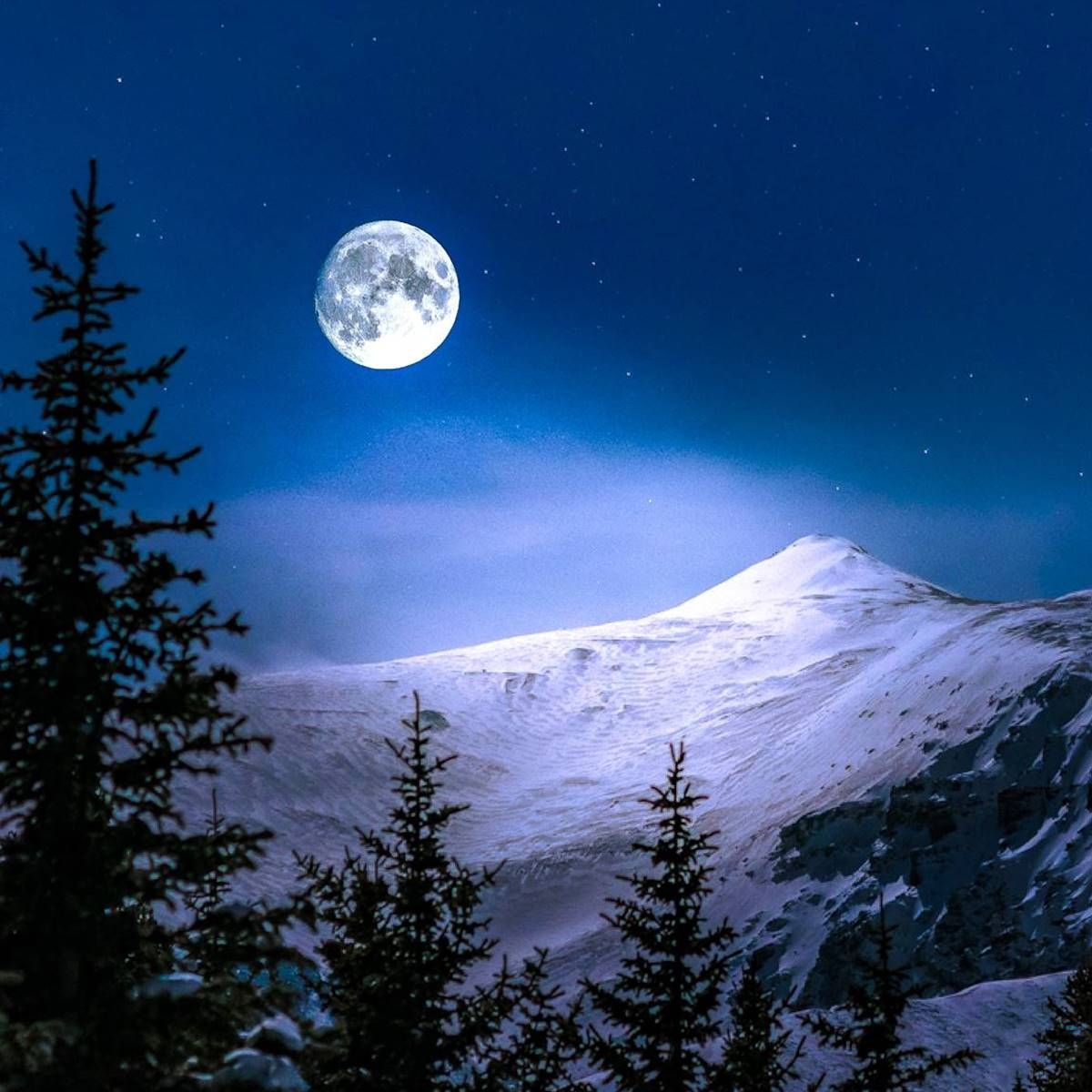 www.minutoneuquen.com.ar luna44