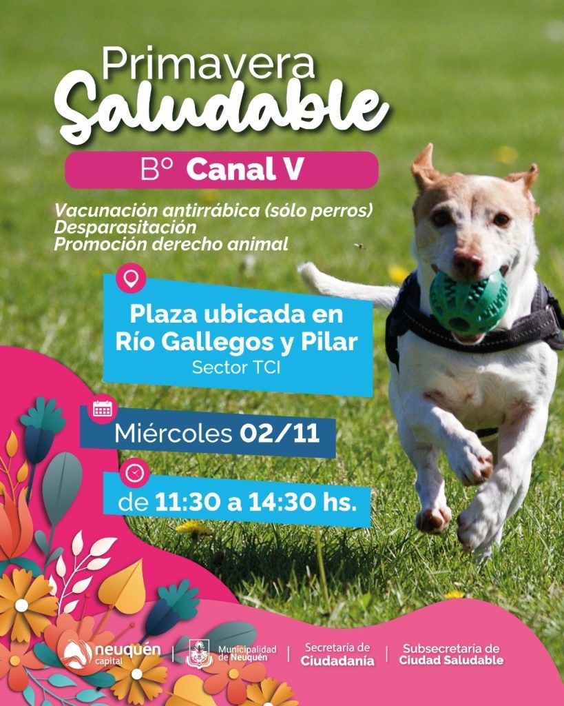 Primavera Saludable en el barrio Canal V