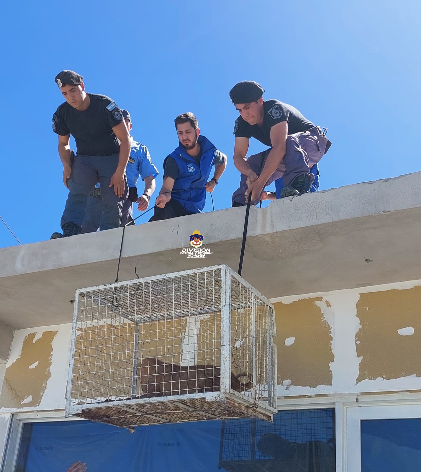 Policia de Neuquén