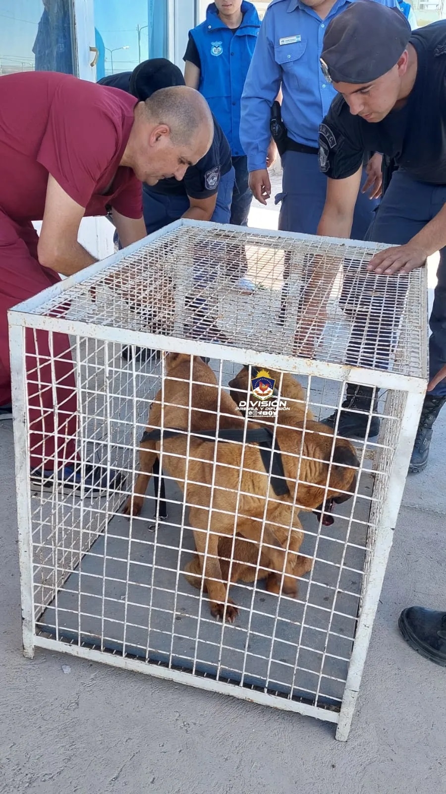 Policia de Neuquén 1