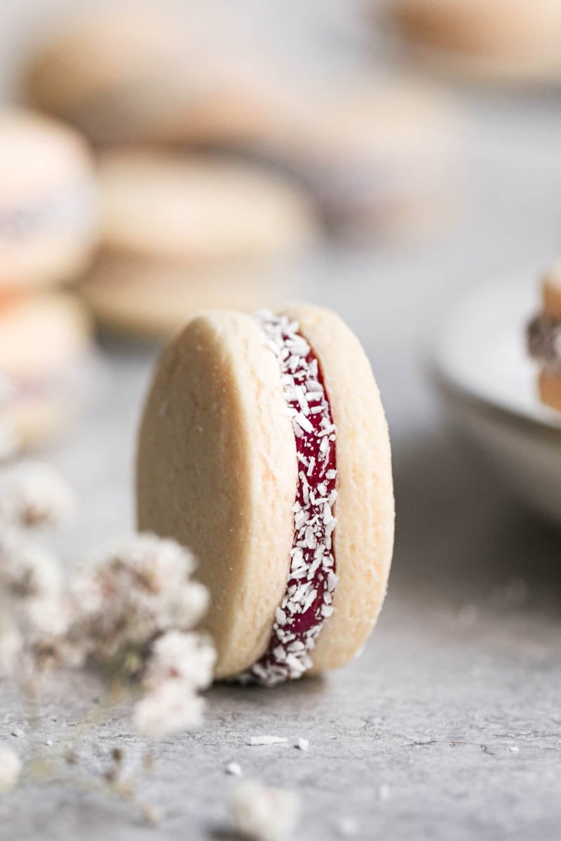 www.minutoneuquen.com.ar alfajor5
