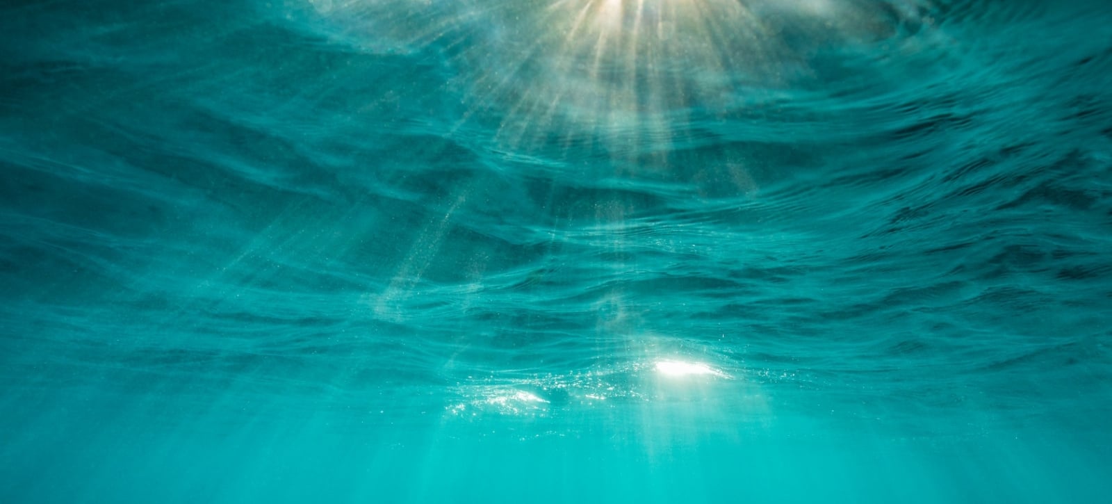 www.minutoneuquen.com.ar oceano5