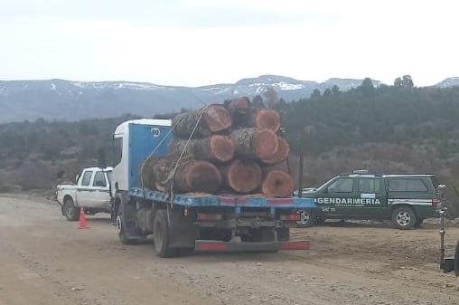 Comercialización de productos forestales en el Paraje Piedra de Trompul