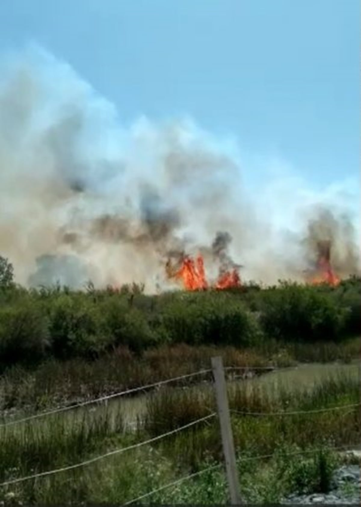 incendio en San Patricio del Chañar 2