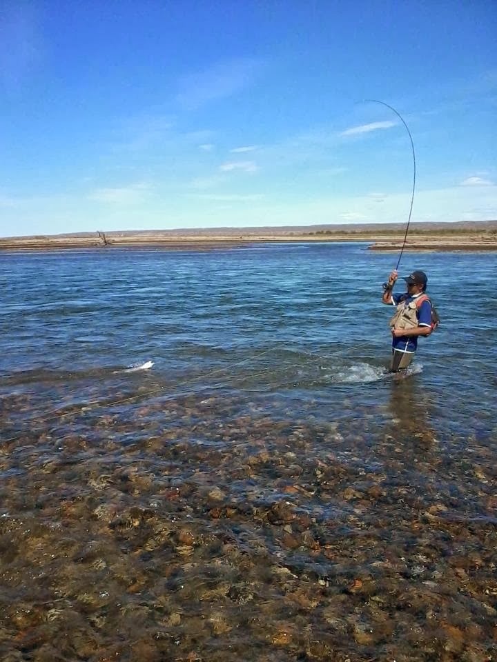 Pesca con Mosca en Picún Leufú 1