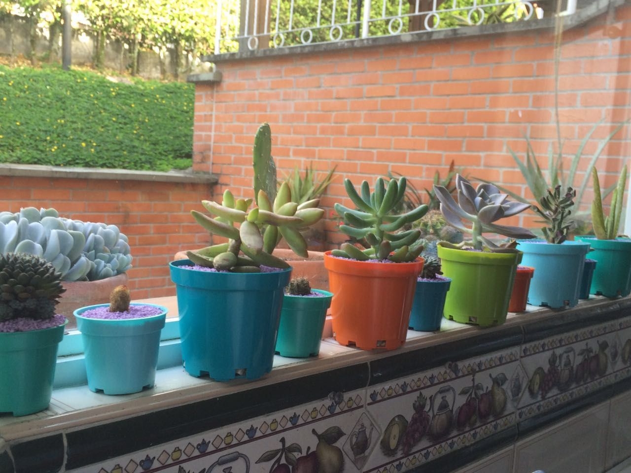 www.minutoneuquen.com.ar sucuventana00
