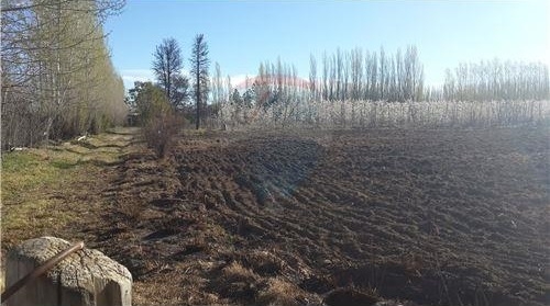 Loteo Los Damascos en Neuquén capital