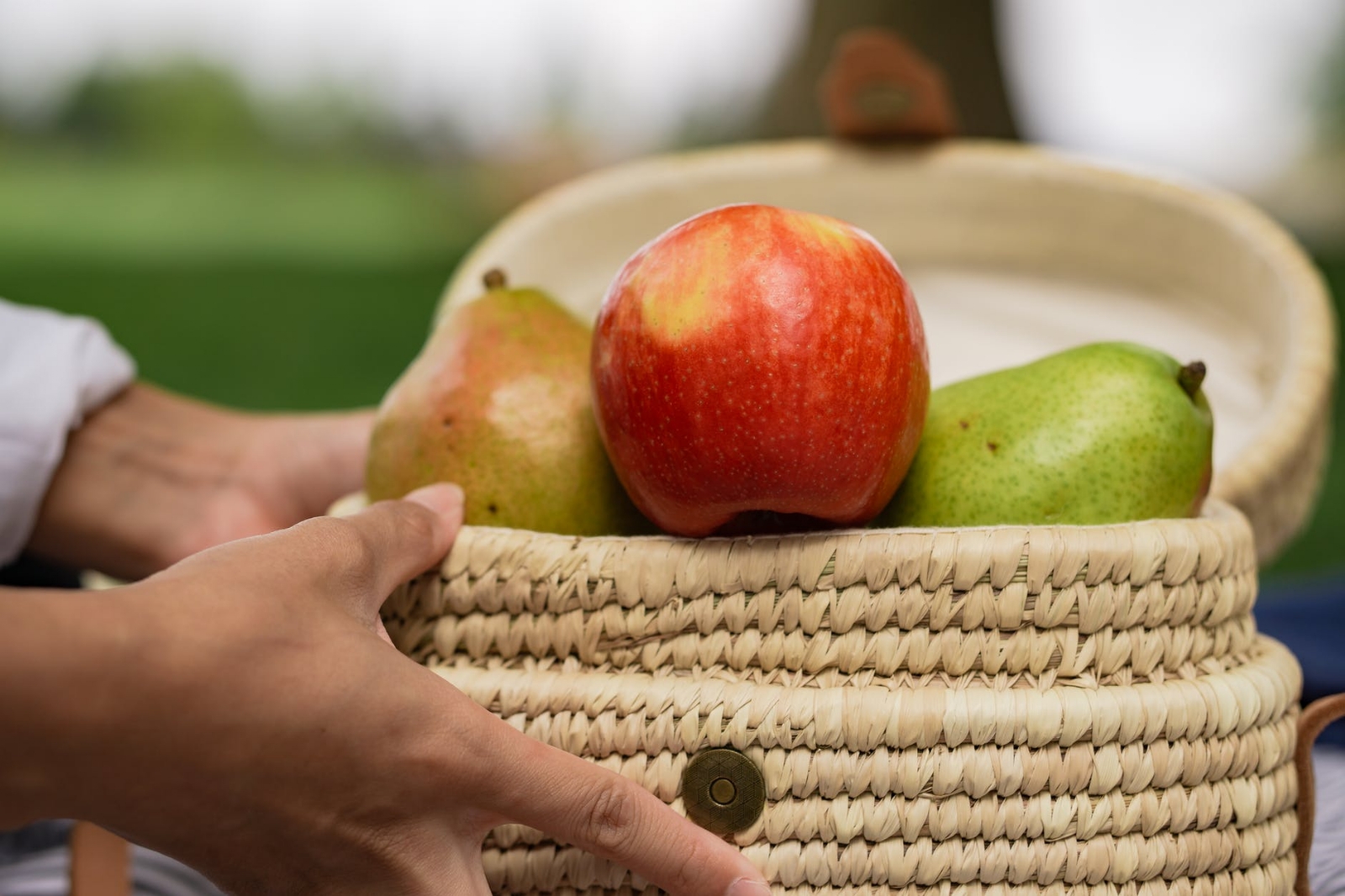 manzanas y peras