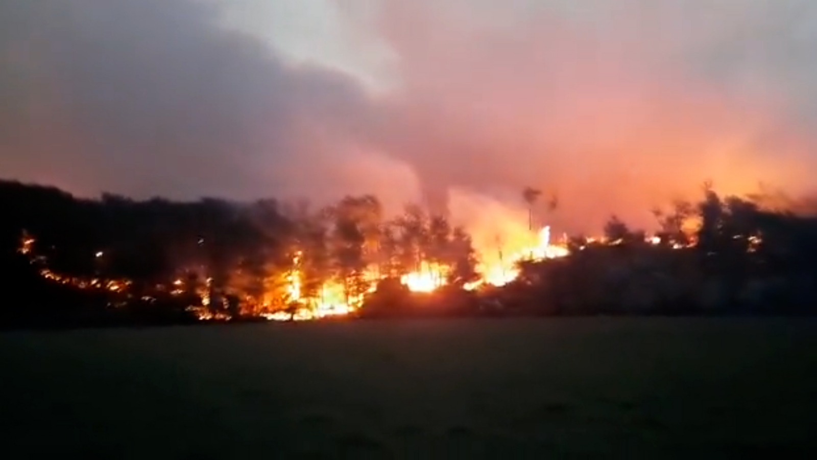 incendios 19 dic infobae
