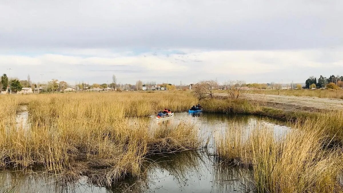 laguna sanlo - LMNeuquén 3