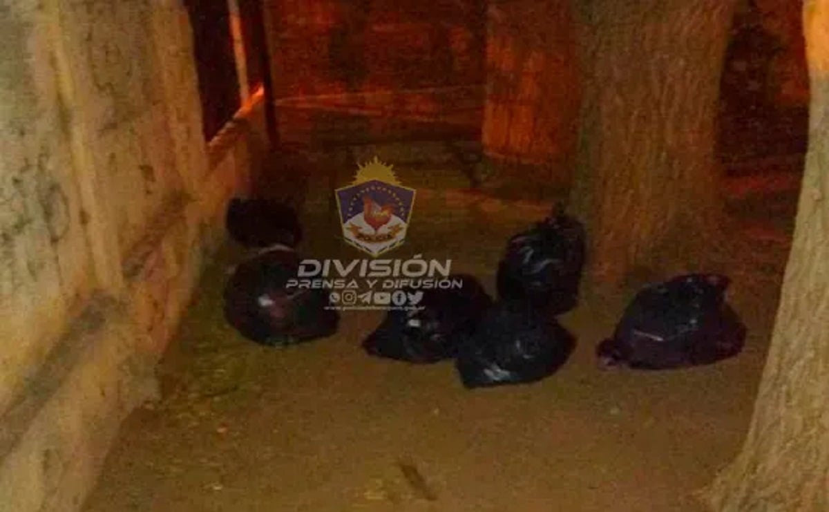 elementos recuperados en cutral co