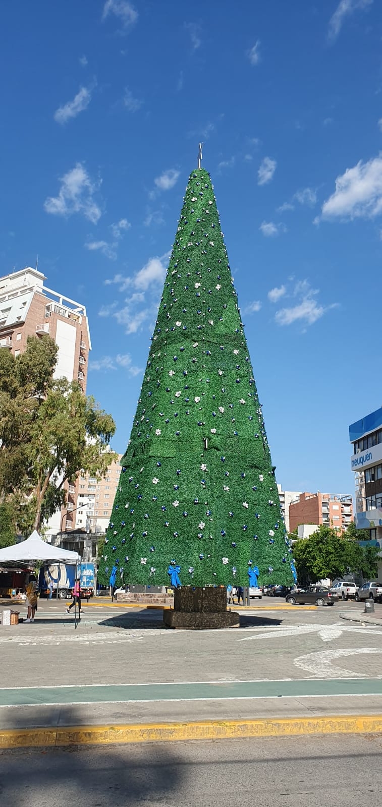 Pino de Navidad Fuente Javier Manzano (3)