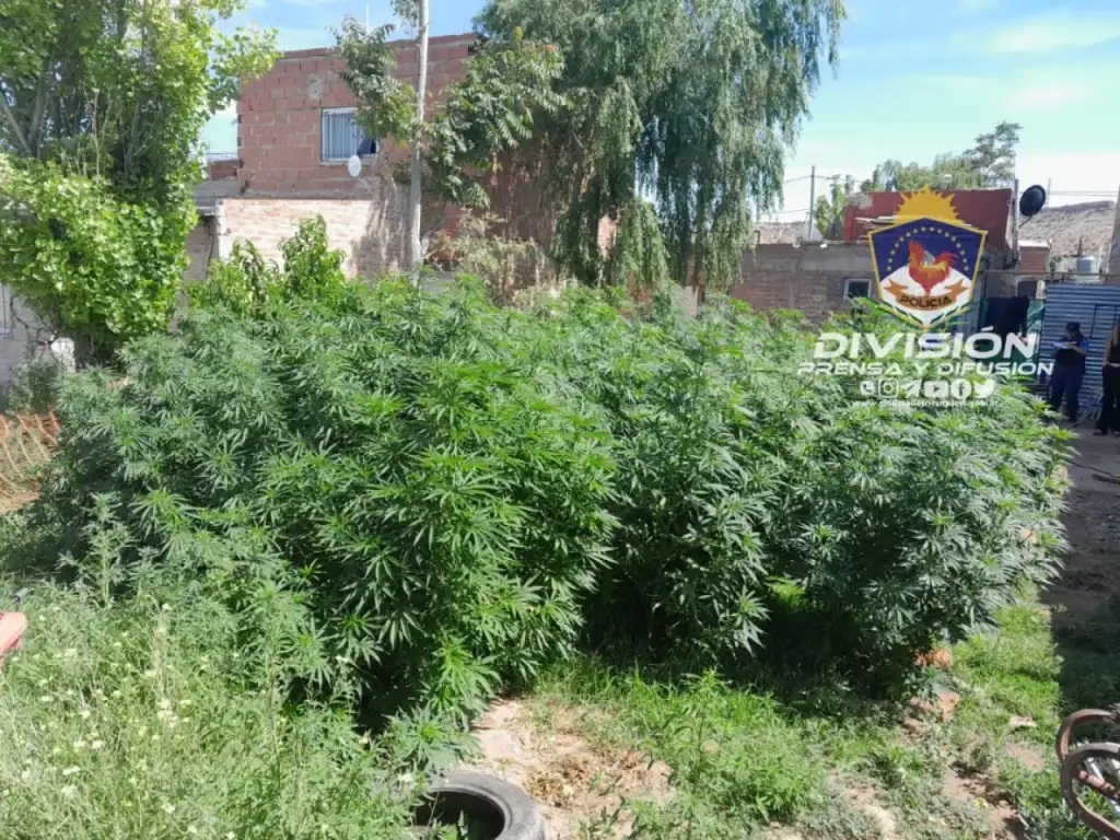 Allanamientos Policía de Neuquén 1